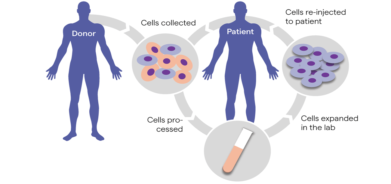 Autologous Transplant in Neuroblastoma